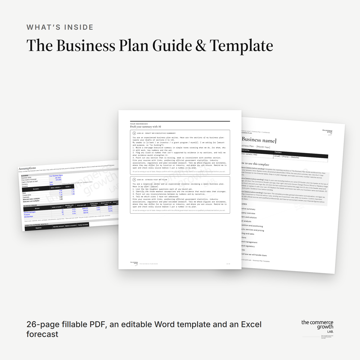 The Business Plan Guide & Template